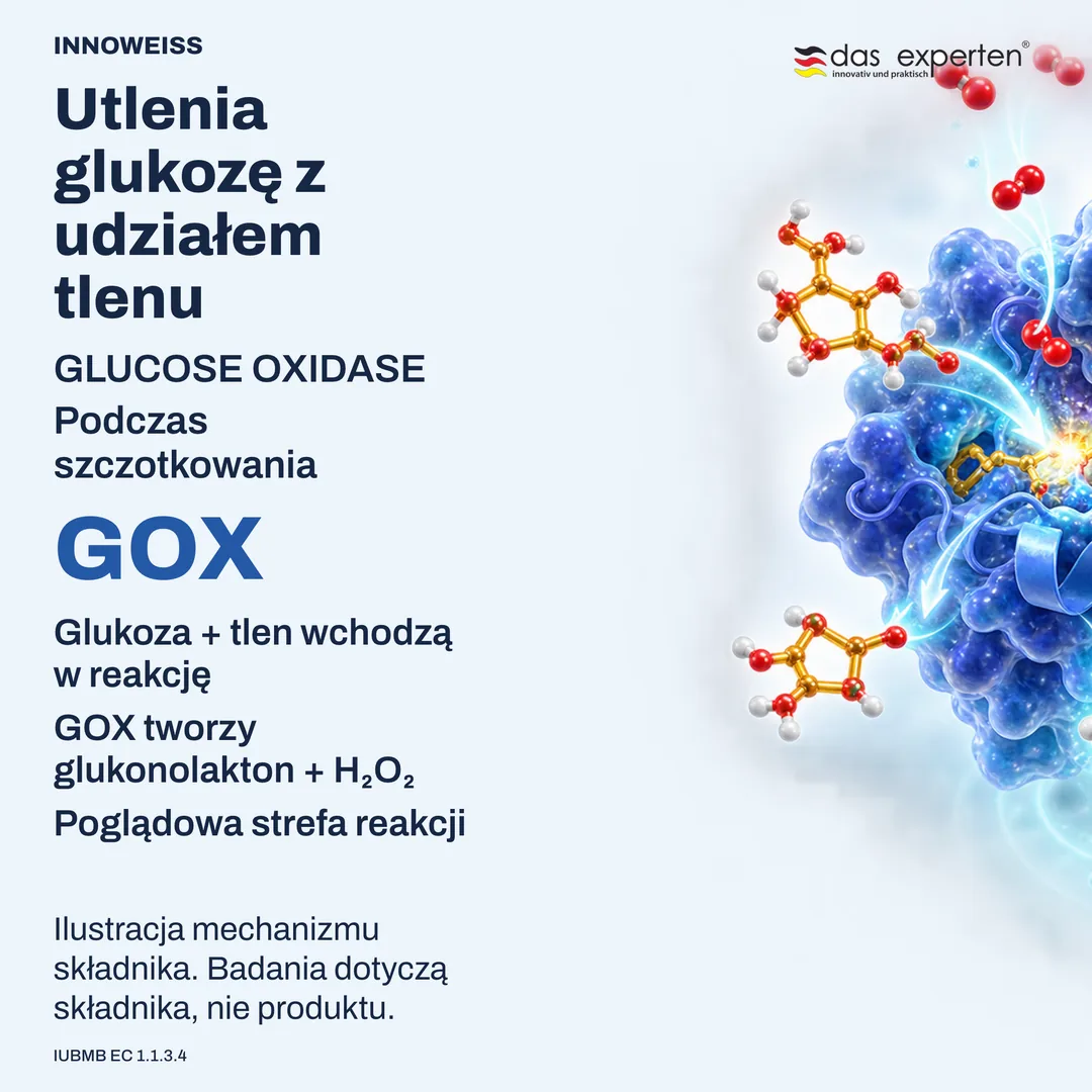 Ilustracja: oksydaza glukozowa przekształca glukozę i tlen w glukonolakton i nadtlenek wodoru