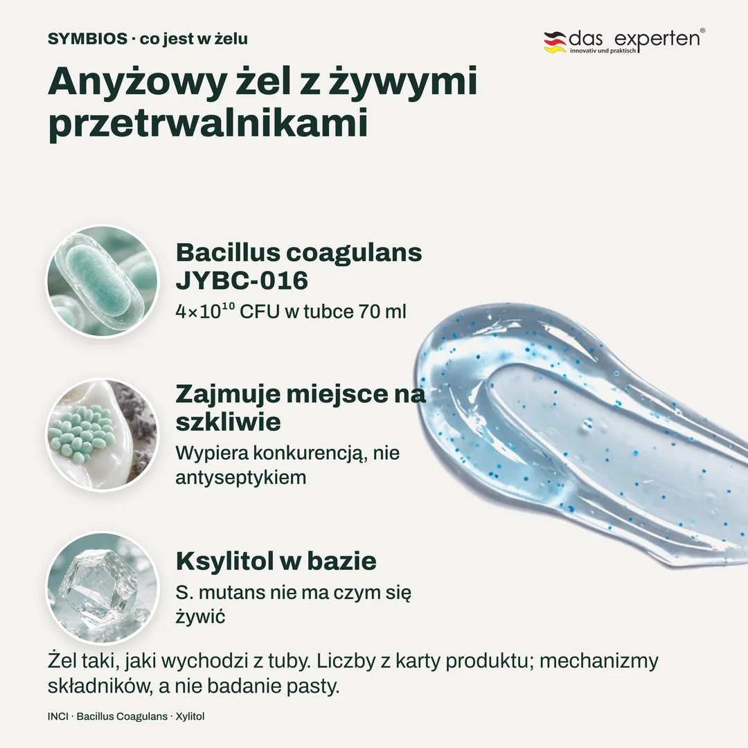 Anyżowy żel z żywymi przetrwalnikami — Bacillus coagulans JYBC-016; Zajmuje miejsce na szkliwie; Ksylitol w bazie