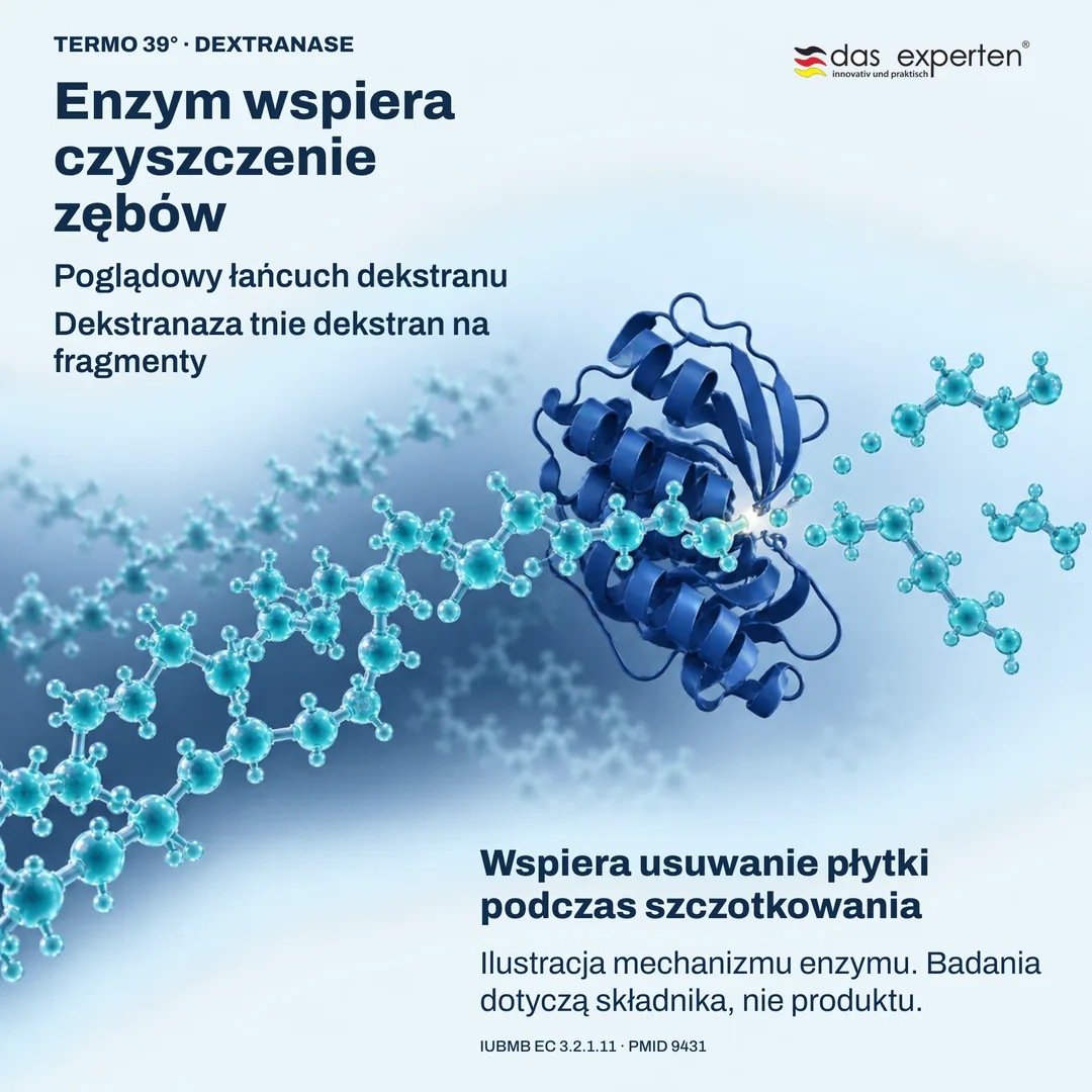 Ilustracja: dekstranaza tnie łańcuch dekstranu; enzym wspiera czyszczenie zębów i usuwanie płytki