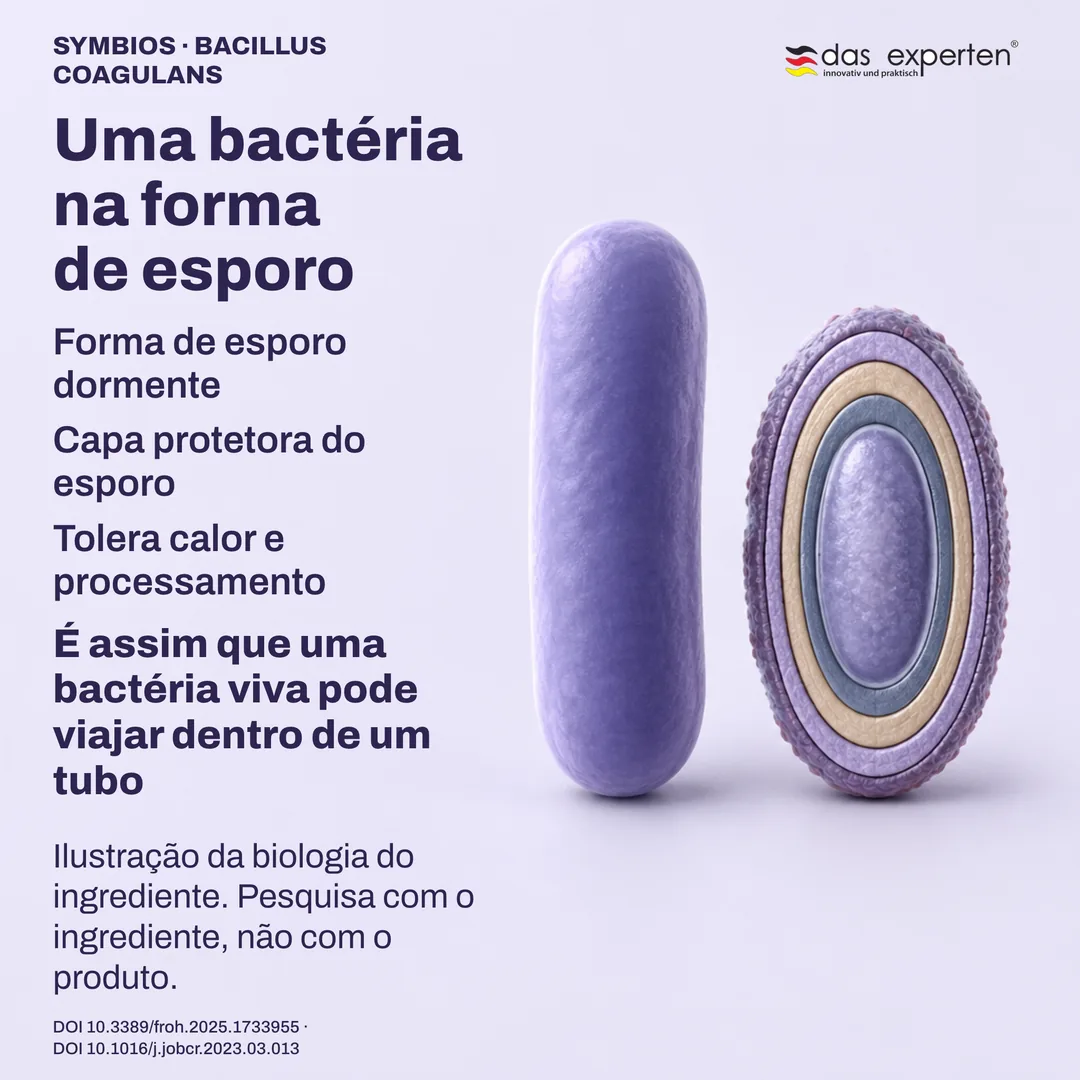 Esporo dormente ilustrado com a capa protetora ao lado de uma célula vegetativa: biologia do ingrediente