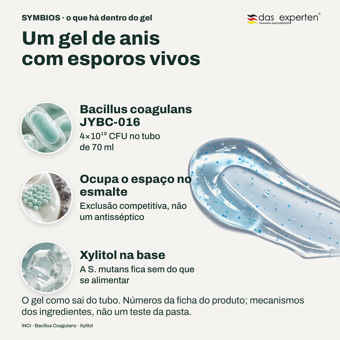 Um gel de anis com esporos vivos — Bacillus coagulans JYBC-016; Ocupa o espaço no esmalte; Xylitol na base
