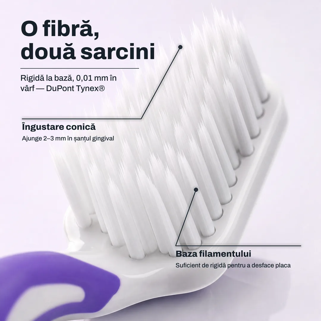 O fibră, două sarcini — Rigidă la bază, 0,01 mm în vârf — DuPont Tynex® · Îngustare conică: Ajunge 2–3 mm în șanțul gingival · Baza filamentului: Suficient de rigidă pentru a desface placa