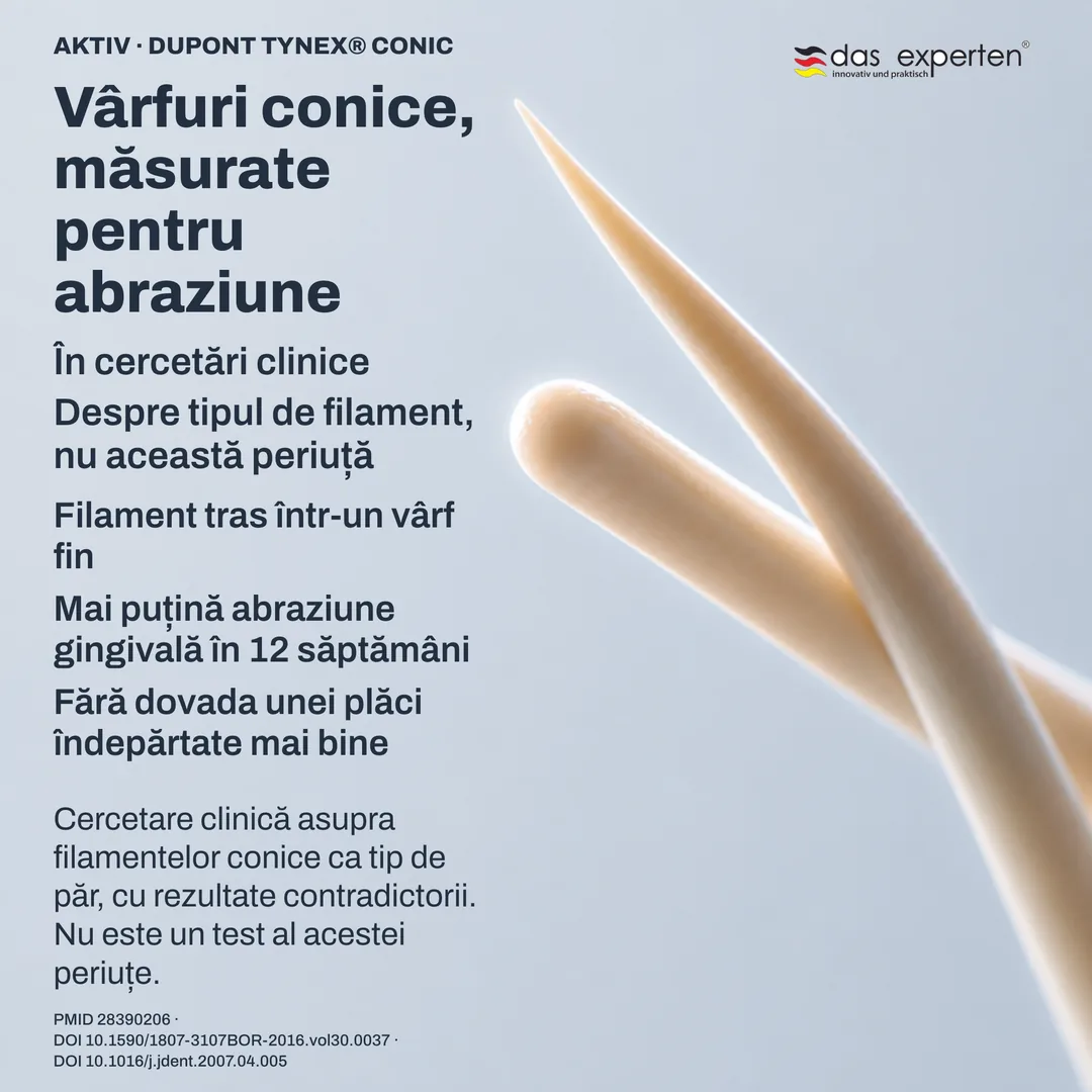 Studiu de geometrie: profilul unui vârf conic lângă unul rotunjit, contururi schematice la scară nefidelă