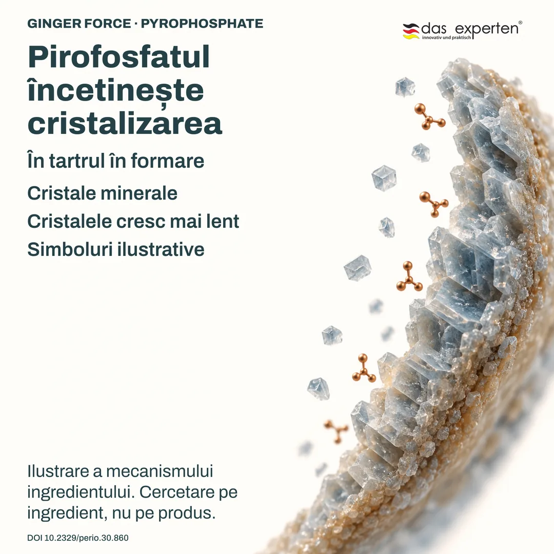 Ilustrație: cristalele minerale din tartrul în formare cresc mai lent cu pirofosfat