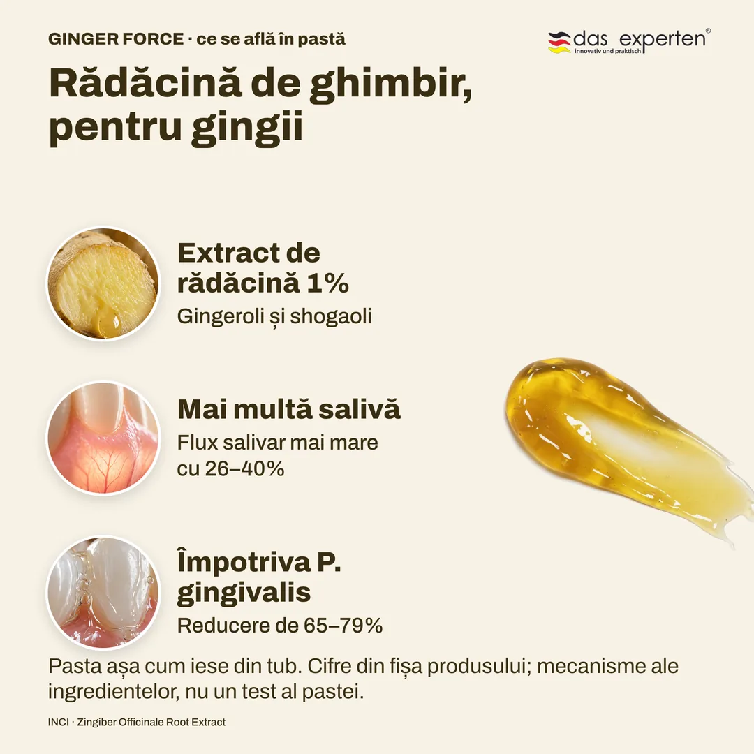 Rădăcină de ghimbir, pentru gingii — Extract de rădăcină 1%; Mai multă salivă; Împotriva P. gingivalis