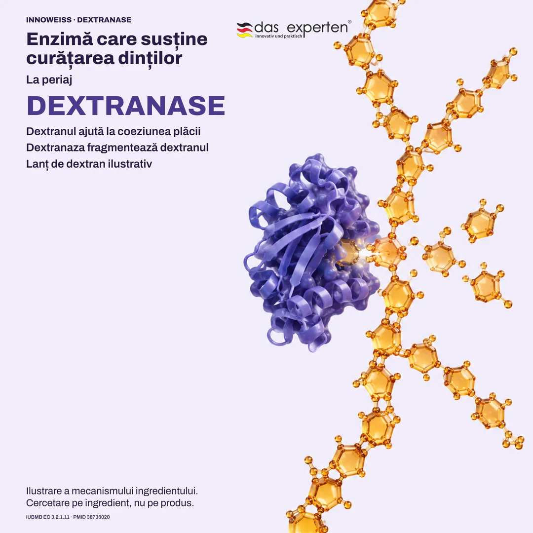 Ilustrație: dextranaza fragmentează un lanț de dextran din placă; enzimă care susține curățarea dinților la periaj