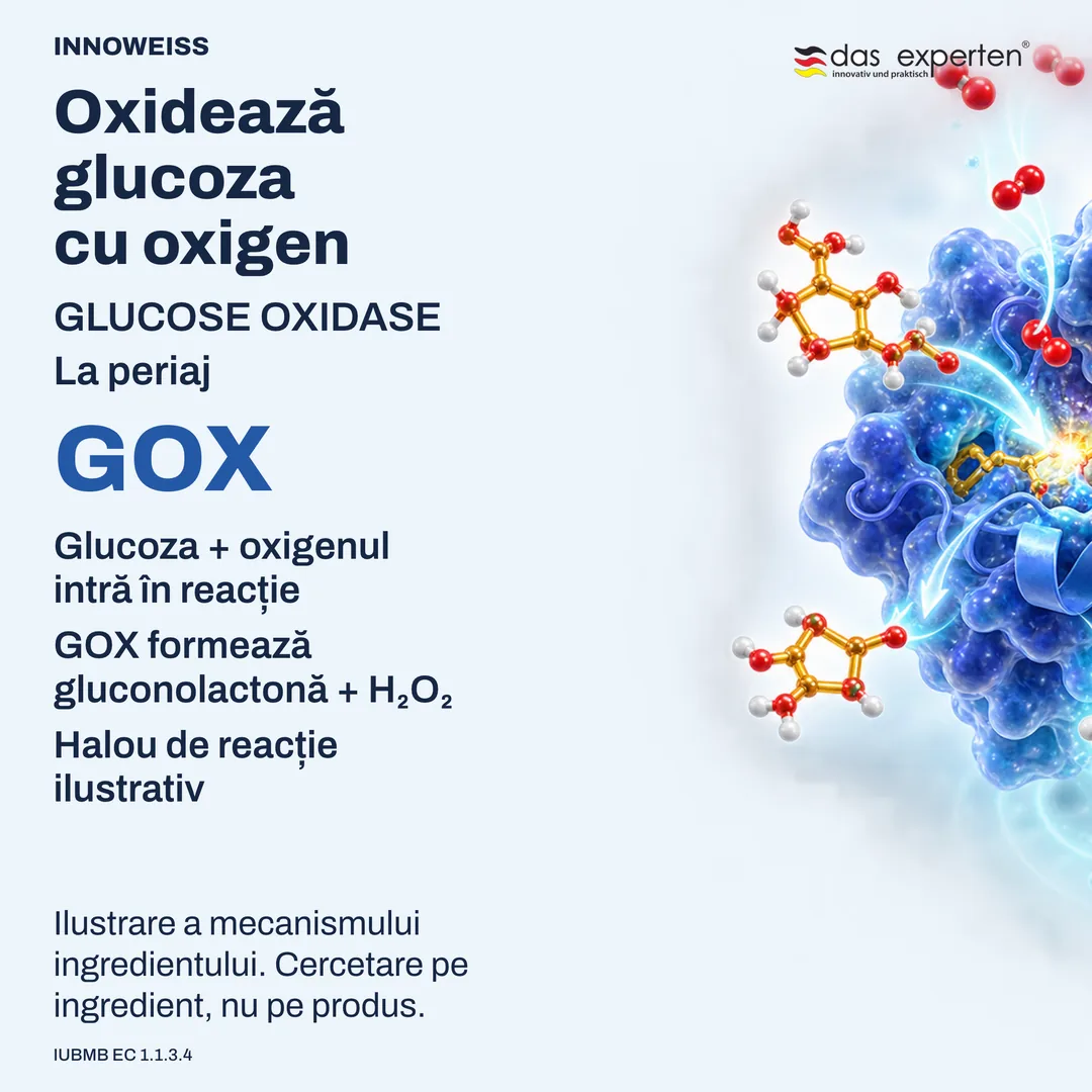 Ilustrație: glucozoxidaza transformă glucoza și oxigenul în gluconolactonă și peroxid de hidrogen