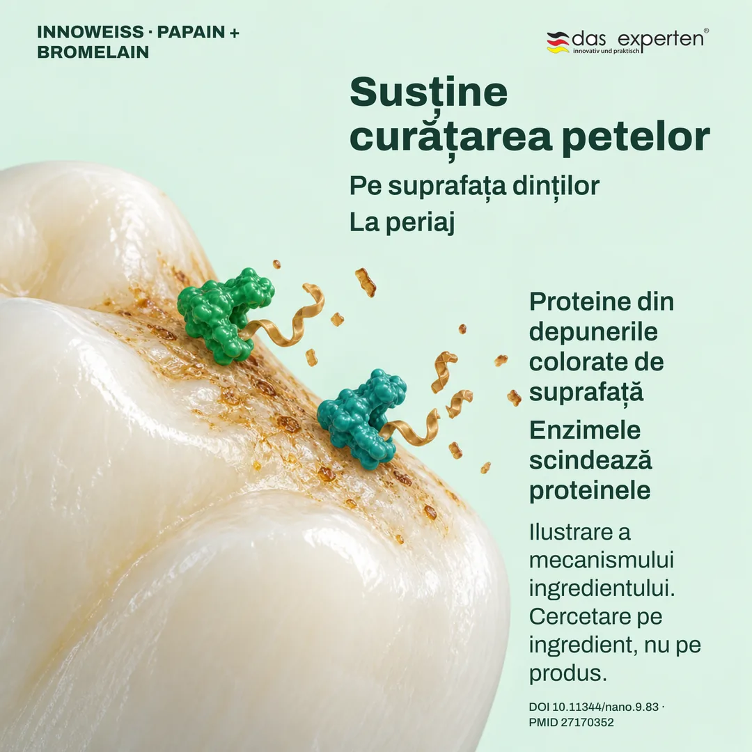 Ilustrație: enzime care scindează proteinele din depunerile colorate de pe dinți; susține curățarea petelor la periaj