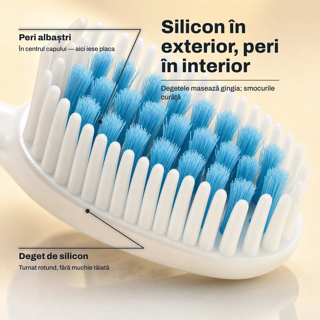 Silicon în exterior, peri în interior — Degetele masează gingia; smocurile curăță · Deget de silicon: Turnat rotund, fără muchie tăiată · Peri albaștri: În centrul capului — aici iese placa