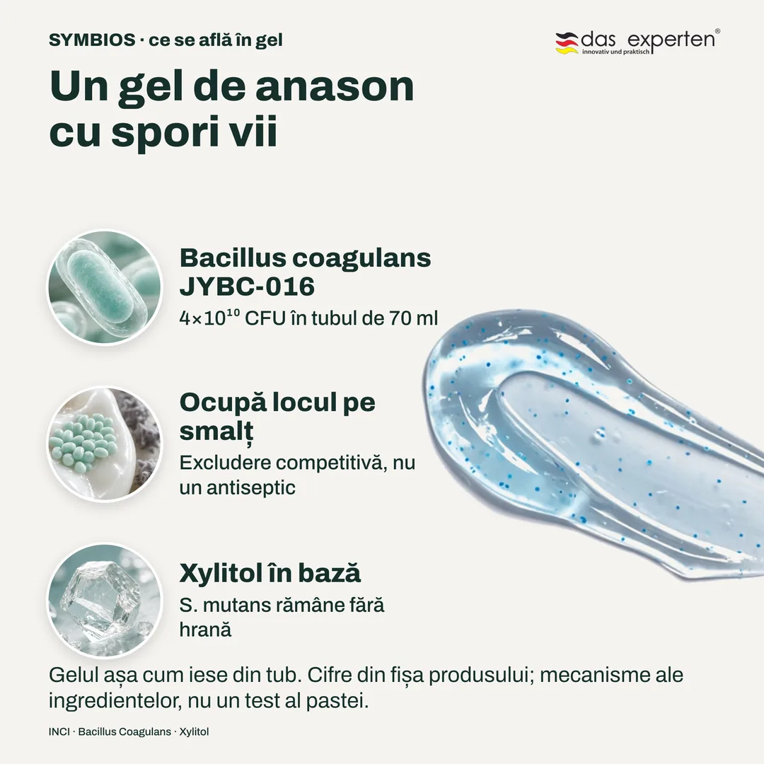 Un gel de anason cu spori vii — Bacillus coagulans JYBC-016; Ocupă locul pe smalț; Xylitol în bază