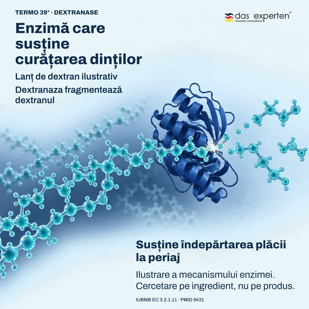 Ilustrație: dextranaza fragmentează un lanț de dextran; enzimă care susține îndepărtarea plăcii la periaj
