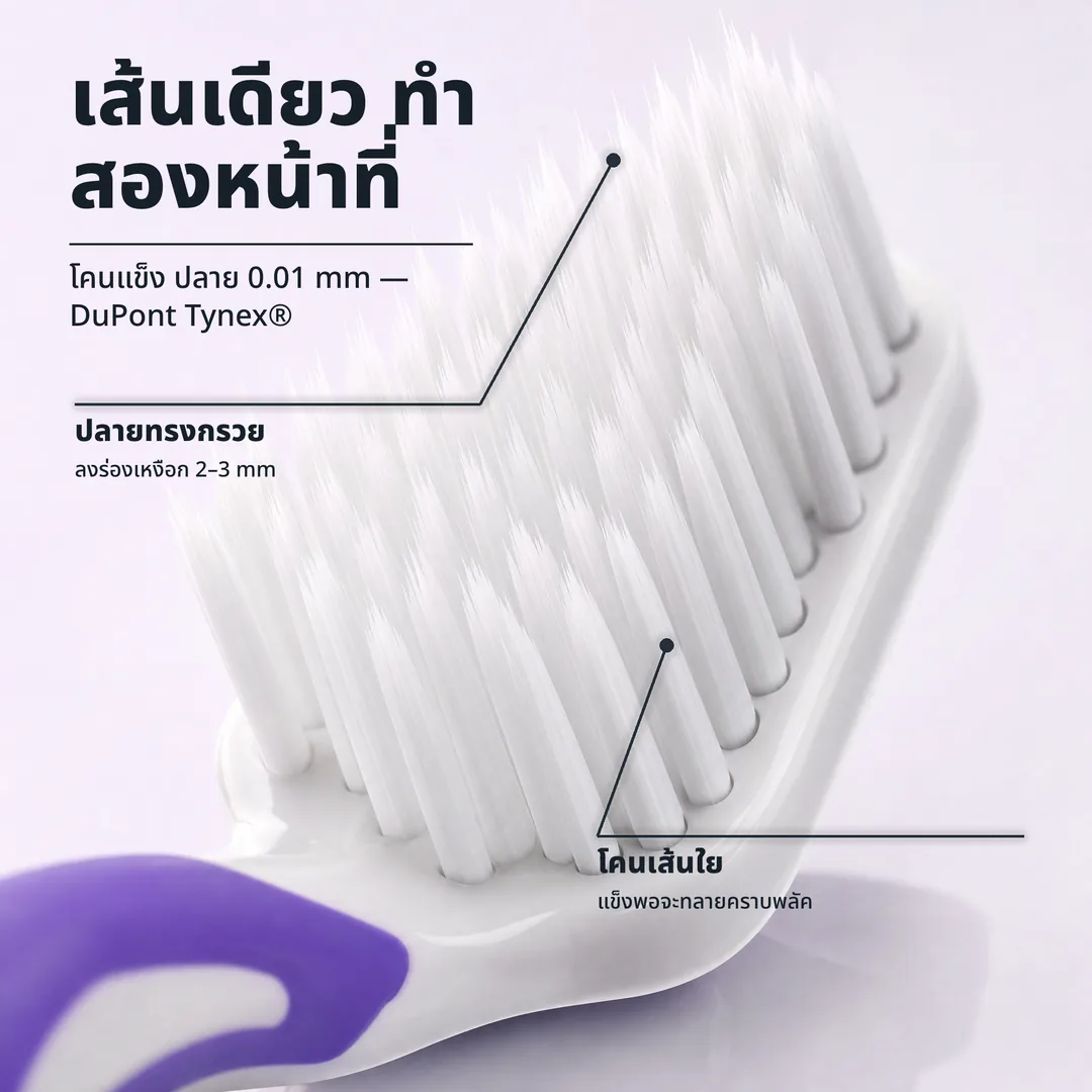เส้นเดียว ทำสองหน้าที่ — โคนแข็ง ปลาย 0.01 mm — DuPont Tynex® · ปลายทรงกรวย: ลงร่องเหงือก 2–3 mm · โคนเส้นใย: แข็งพอจะทลายคราบพลัค