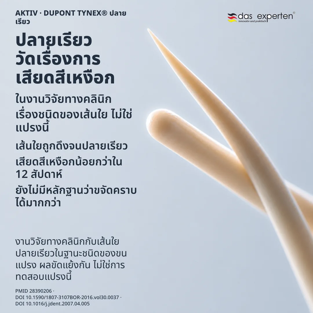 ภาพศึกษารูปทรงเส้นใย ปลายเรียวหนึ่งเส้นเทียบกับปลายมนหนึ่งเส้น เป็นเส้นร่างในมาตราส่วนไม่จริง