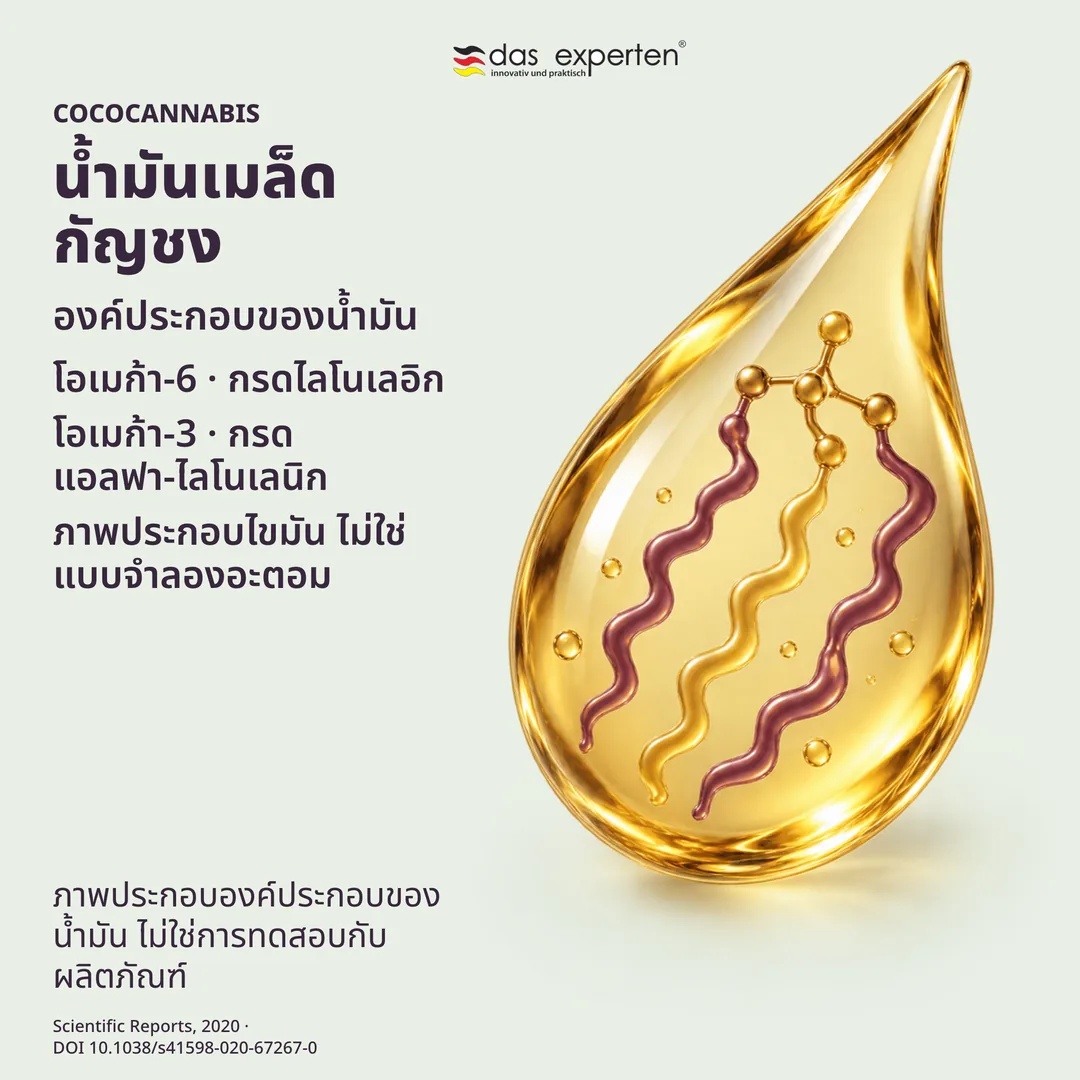 ภาพประกอบหยดน้ำมันเมล็ดกัญชงกับโอเมก้า-6 และโอเมก้า-3 ในองค์ประกอบของน้ำมัน