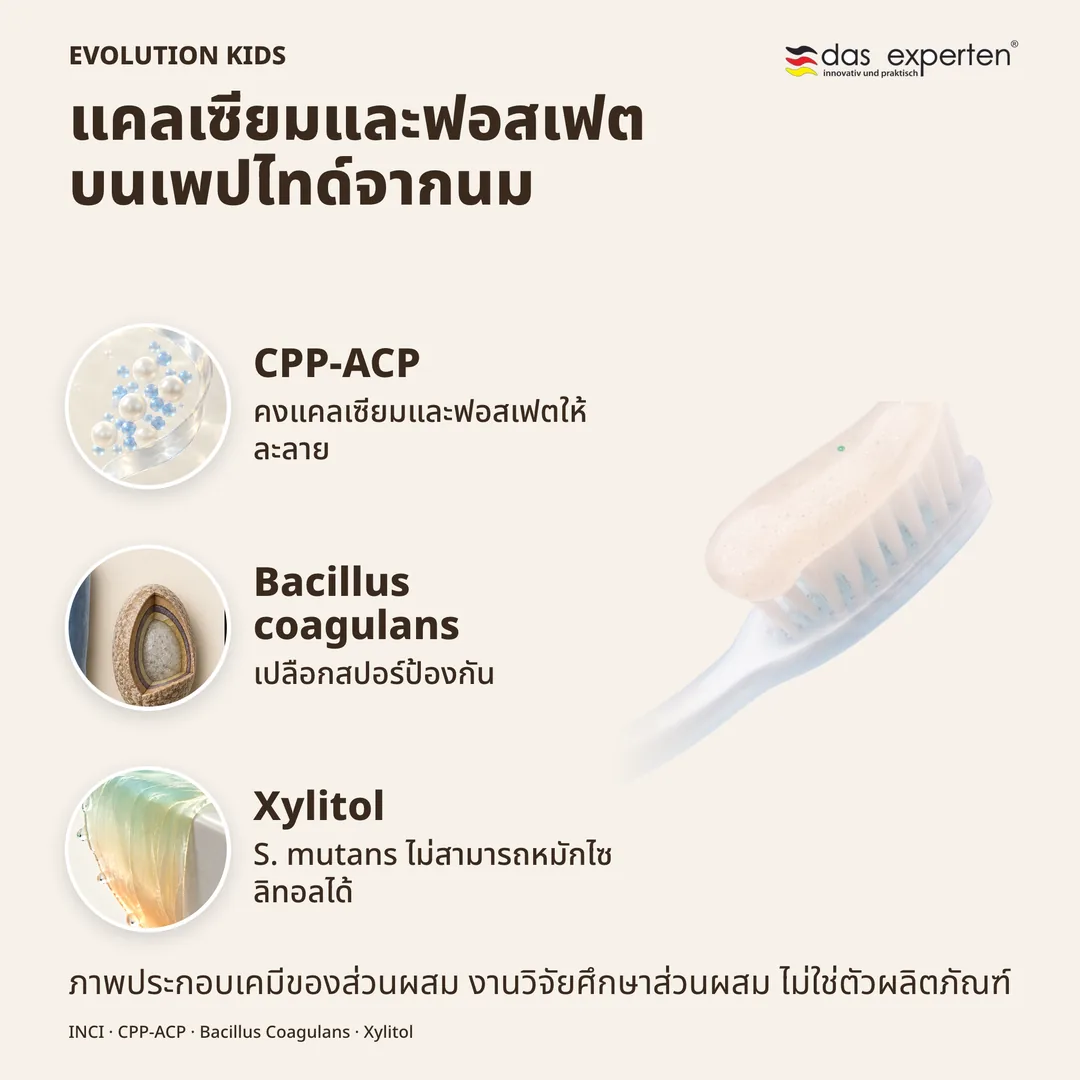 แคลเซียมและฟอสเฟตบนเพปไทด์จากนม · Bacillus coagulans · Xylitol