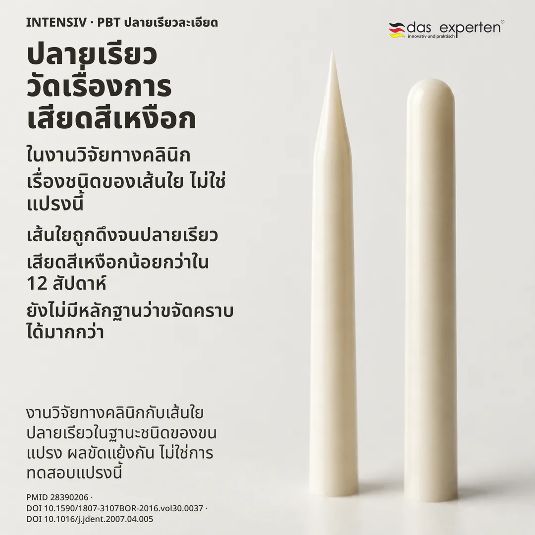 ภาพศึกษารูปทรงเส้นใย ปลายเรียวหนึ่งเส้นเทียบกับปลายมนหนึ่งเส้น เป็นเส้นร่างในมาตราส่วนไม่จริง