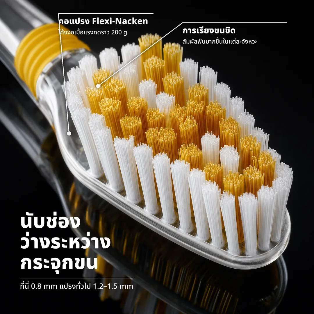 นับช่องว่างระหว่างกระจุกขน — ที่นี่ 0.8 mm แปรงทั่วไป 1.2–1.5 mm · การเรียงขนชิด: สัมผัสฟันมากขึ้นในแต่ละจังหวะ · คอแปรง Flexi-Nacken: โค้งงอเมื่อแรงกดราว 200 g