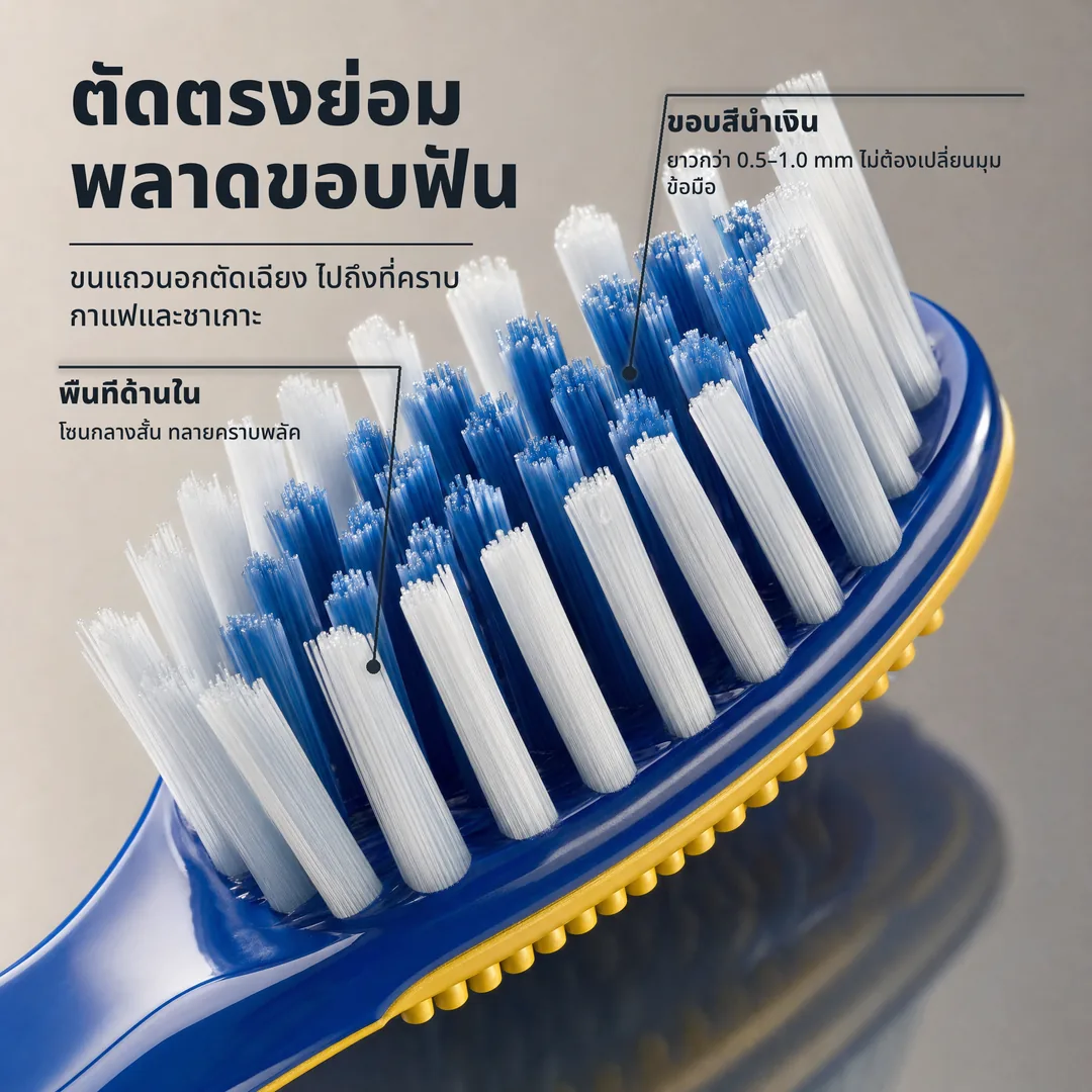 ตัดตรงย่อมพลาดขอบฟัน — ขนแถวนอกตัดเฉียง ไปถึงที่คราบกาแฟและชาเกาะ · ขอบสีน้ำเงิน: ยาวกว่า 0.5–1.0 mm ไม่ต้องเปลี่ยนมุมข้อมือ · พื้นที่ด้านใน: โซนกลางสั้น ทลายคราบพลัค