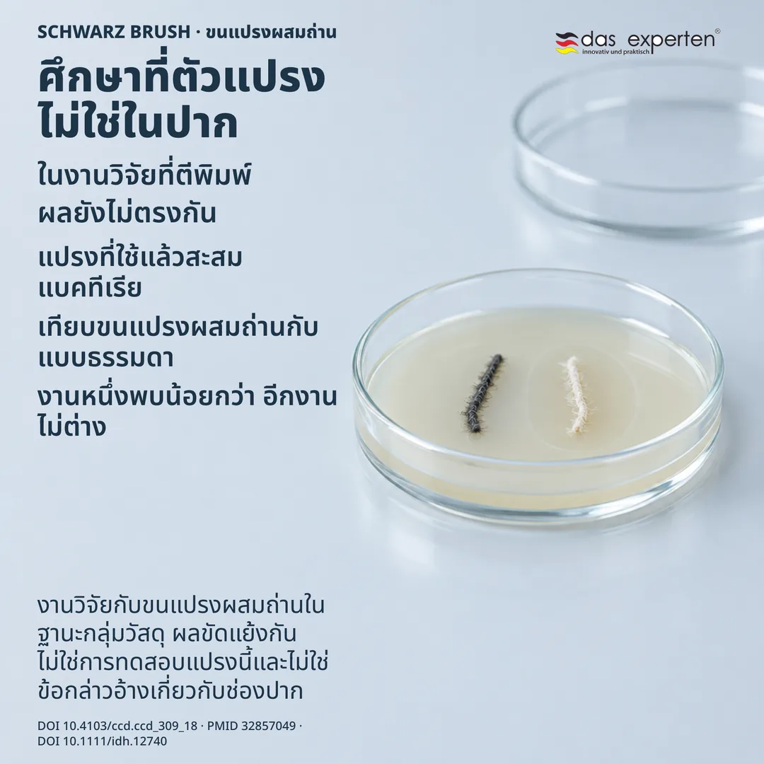 ภาพเปรียบเทียบในห้องปฏิบัติการ ขนแปรงสองตัวอย่างบนจานเพาะเชื้อ มีวงวัดรอบตัวอย่างหนึ่ง งานวิจัยกับแปรงที่ใช้แล้ว