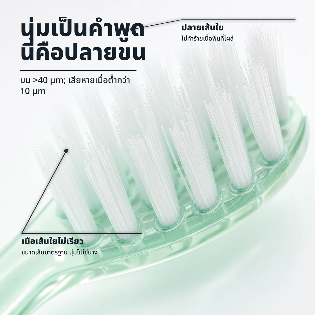นุ่มเป็นคำพูด นี่คือปลายขน — มน >40 μm; เสียหายเมื่อต่ำกว่า 10 μm · ปลายเส้นใย: ไม่ทำร้ายเนื้อฟันที่โผล่ · เนื้อเส้นใยไม่เรียว: ขนาดเส้นมาตรฐาน นุ่มไม่ใช่บาง