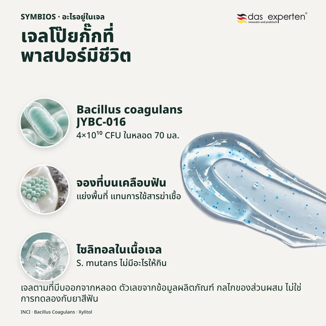 เจลโป๊ยกั๊กที่พาสปอร์มีชีวิต — Bacillus coagulans JYBC-016; จองที่บนเคลือบฟัน; ไซลิทอลในเนื้อเจล