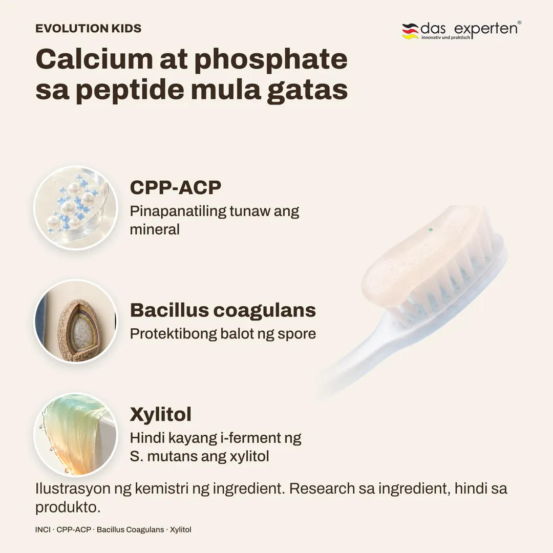 Calcium at phosphate sa peptide mula gatas · Bacillus coagulans · Xylitol