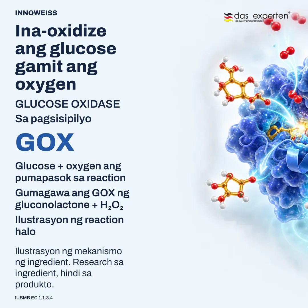 Ilustrasyon ng glucose oxidase na ginagawang gluconolactone at hydrogen peroxide ang glucose at oxygen