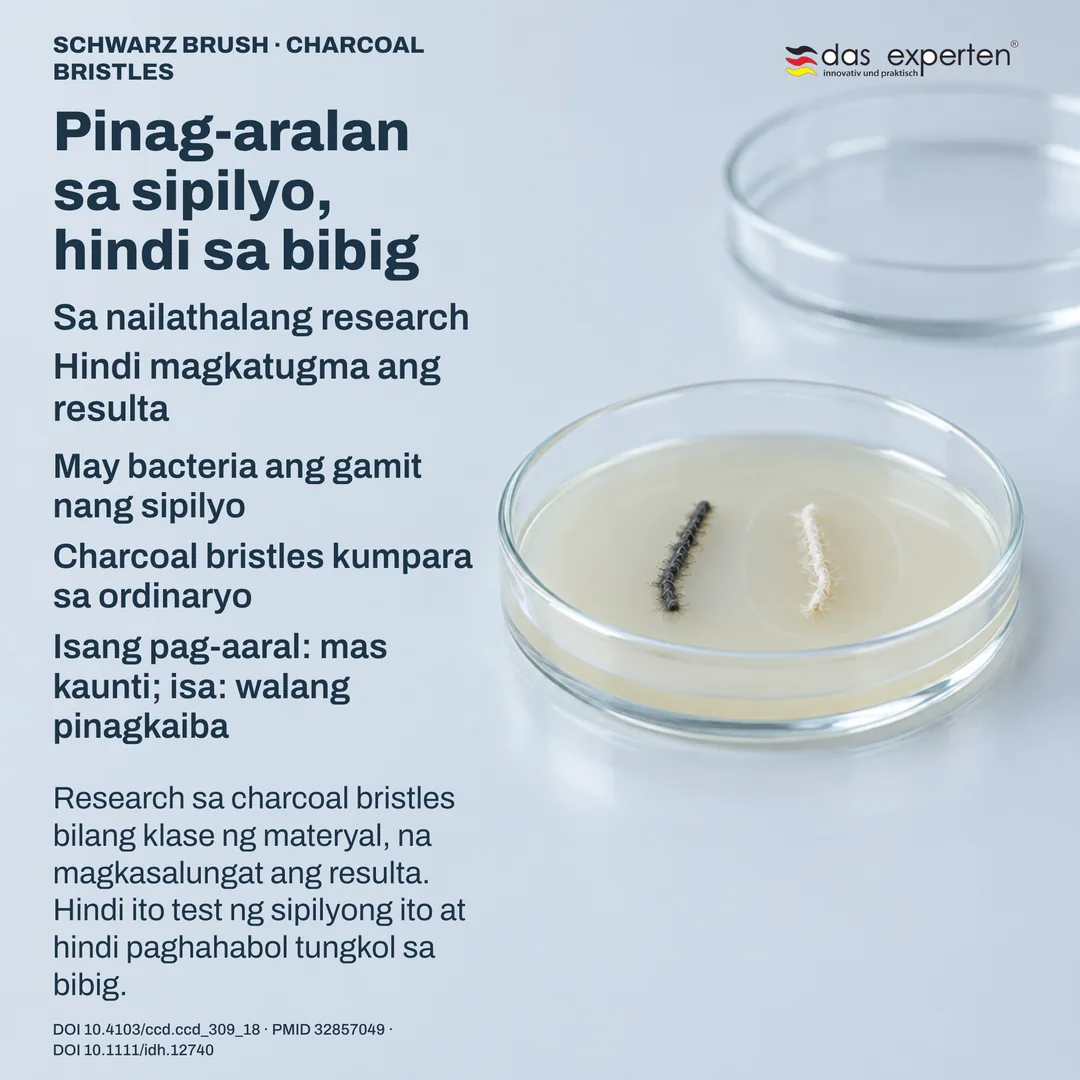 Paghahambing sa laboratoryo: dalawang bristle sample sa culture plate na may sinukat na zone sa isa, research sa sipilyo