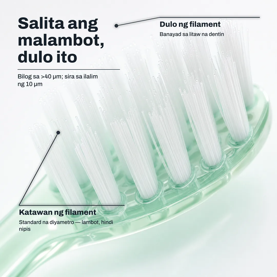 Salita ang malambot, dulo ito — Bilog sa >40 μm; sira sa ilalim ng 10 μm · Dulo ng filament: Banayad sa litaw na dentin · Katawan ng filament: Standard na diyametro — lambot, hindi nipis
