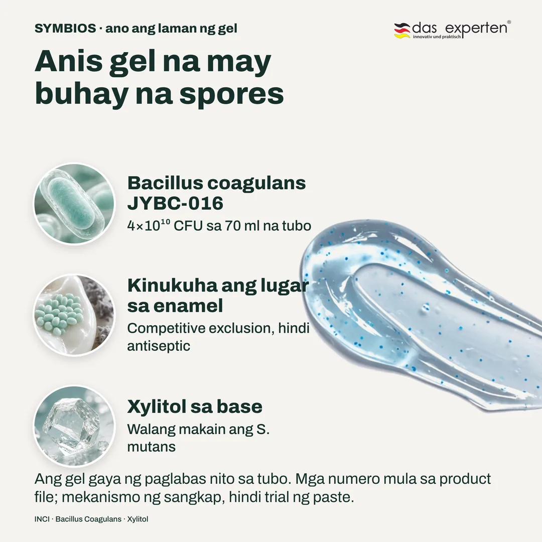 Anis gel na may buhay na spores — Bacillus coagulans JYBC-016; Kinukuha ang lugar sa enamel; Xylitol sa base