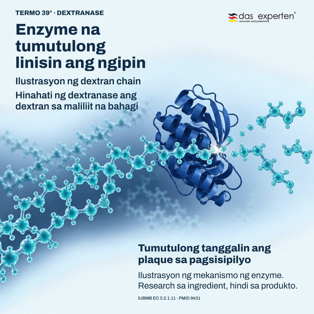 Ilustrasyon ng dextranase na hinahati ang dextran chain: tumutulong tanggalin ang plaque sa pagsisipilyo