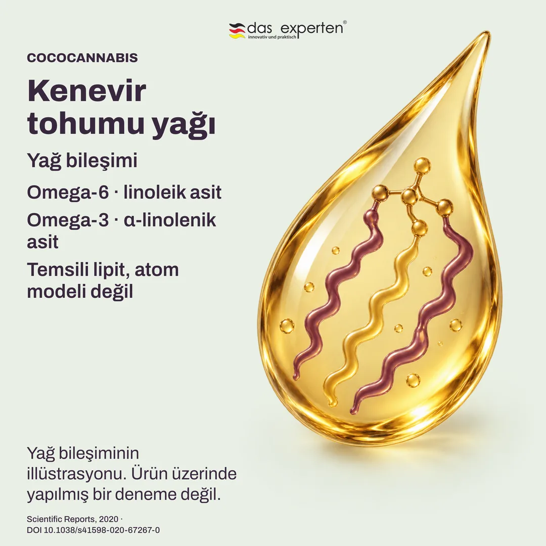 Omega-6 ve omega-3 bileşenleriyle kenevir tohumu yağı damlasının yağ bileşimi illüstrasyonu
