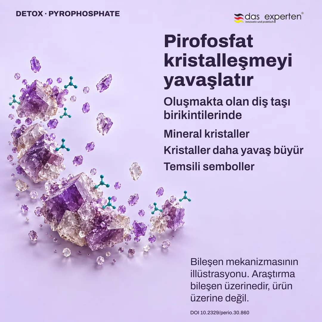 Oluşmakta olan diş taşındaki mineral kristallerin illüstrasyonu: pirofosfat kristal büyümesini yavaşlatır