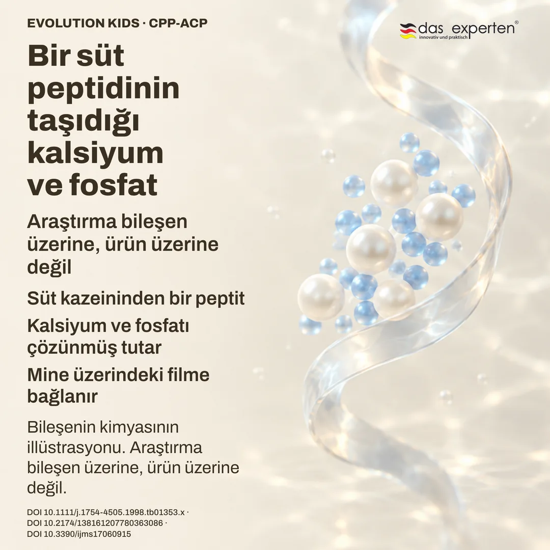 Süt kazeini peptidinin kalsiyum ve fosfatı çözünmüş tutmasının şeması: bileşen üzerine araştırma