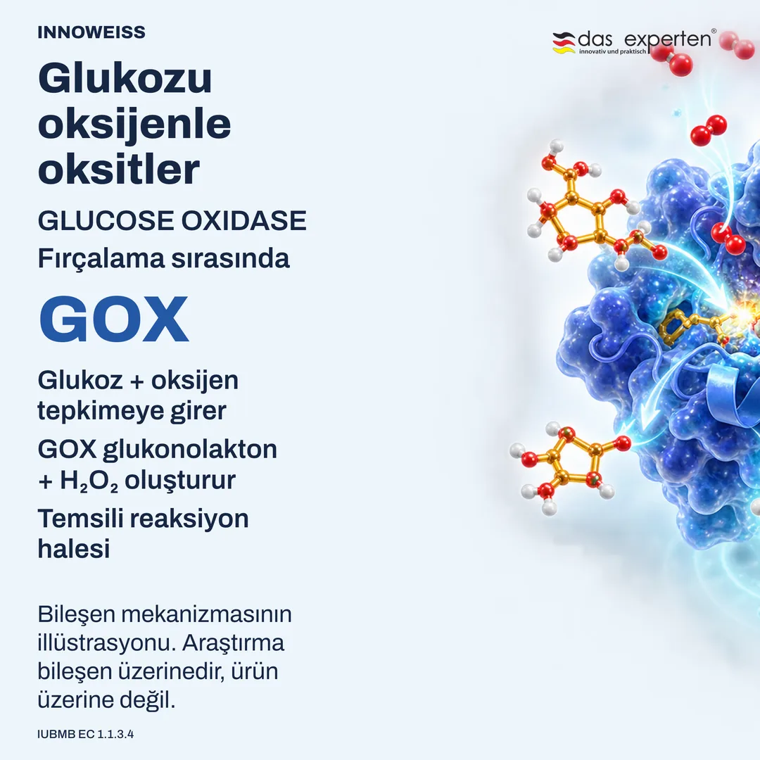 Glukoz oksidazın glukoz ve oksijeni glukonolakton ile hidrojen perokside dönüştürmesinin illüstrasyonu