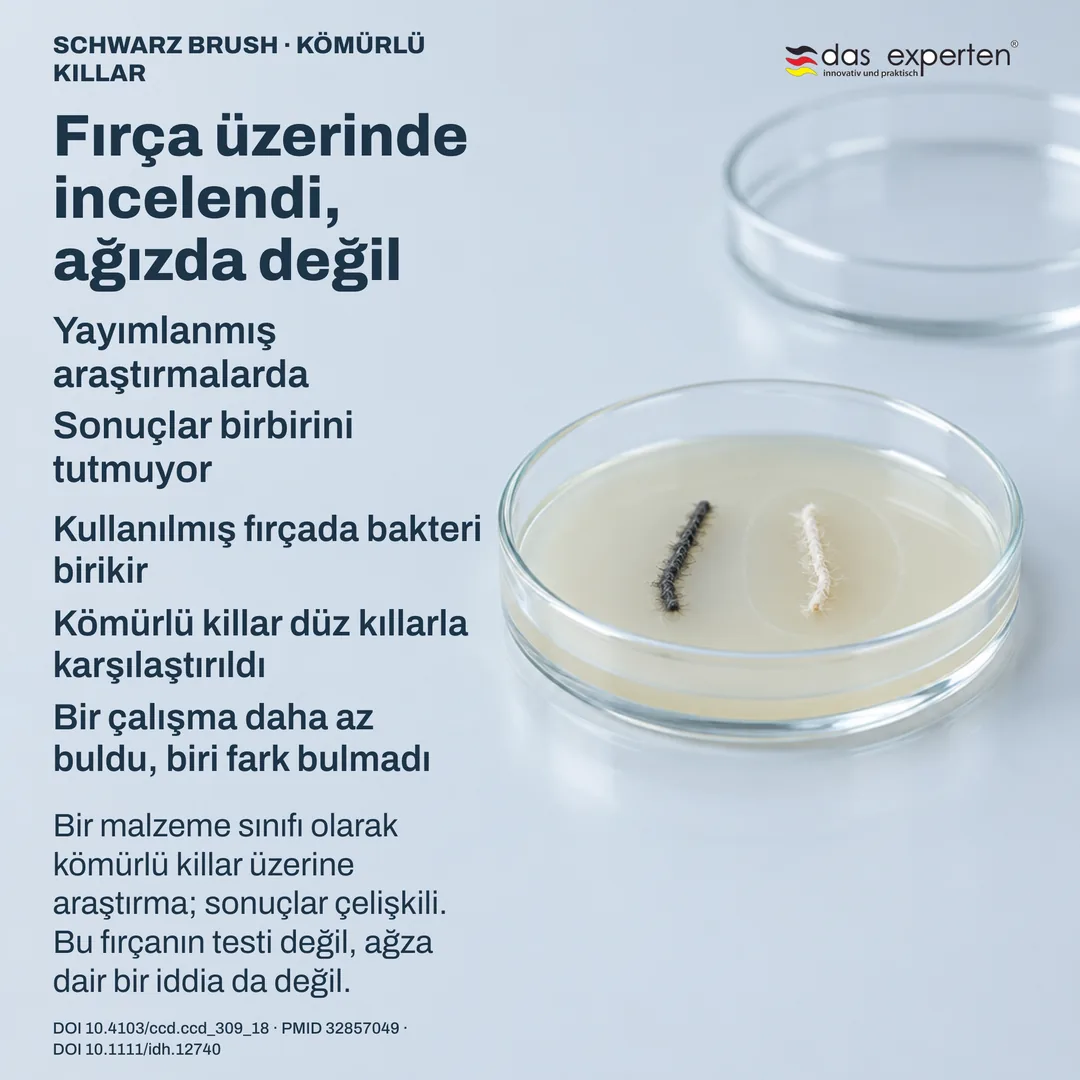 Laboratuvar karşılaştırması: kültür plağında iki kıl örneği, birinin çevresinde ölçülmüş bölge, kullanılmış fırça araştırması