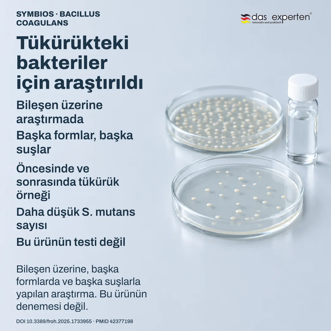Laboratuvar sahnesi: etiketli tükürük örnekleri ve kültür plakları — bileşen üzerine araştırma