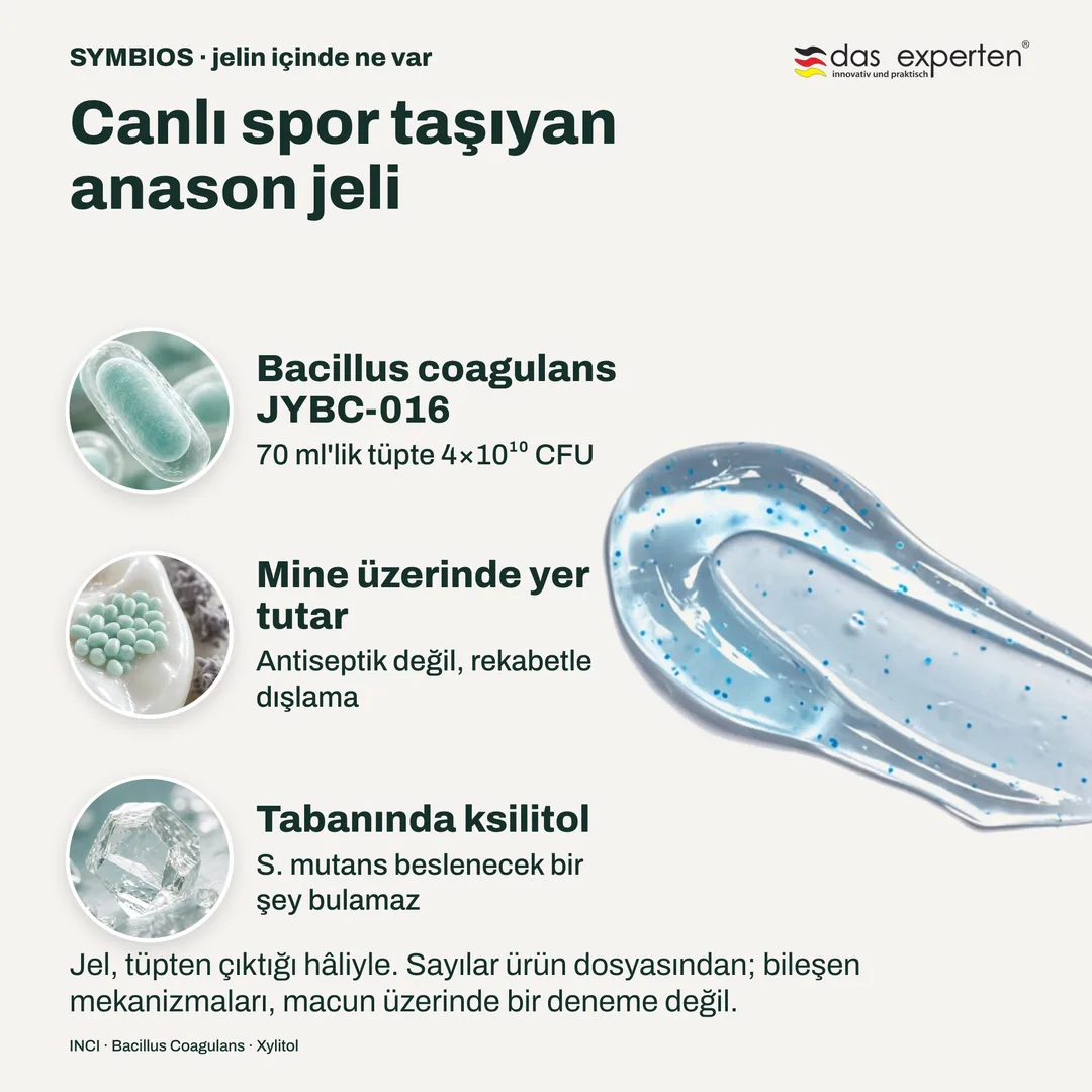 Canlı spor taşıyan anason jeli — Bacillus coagulans JYBC-016; Mine üzerinde yer tutar; Tabanında ksilitol