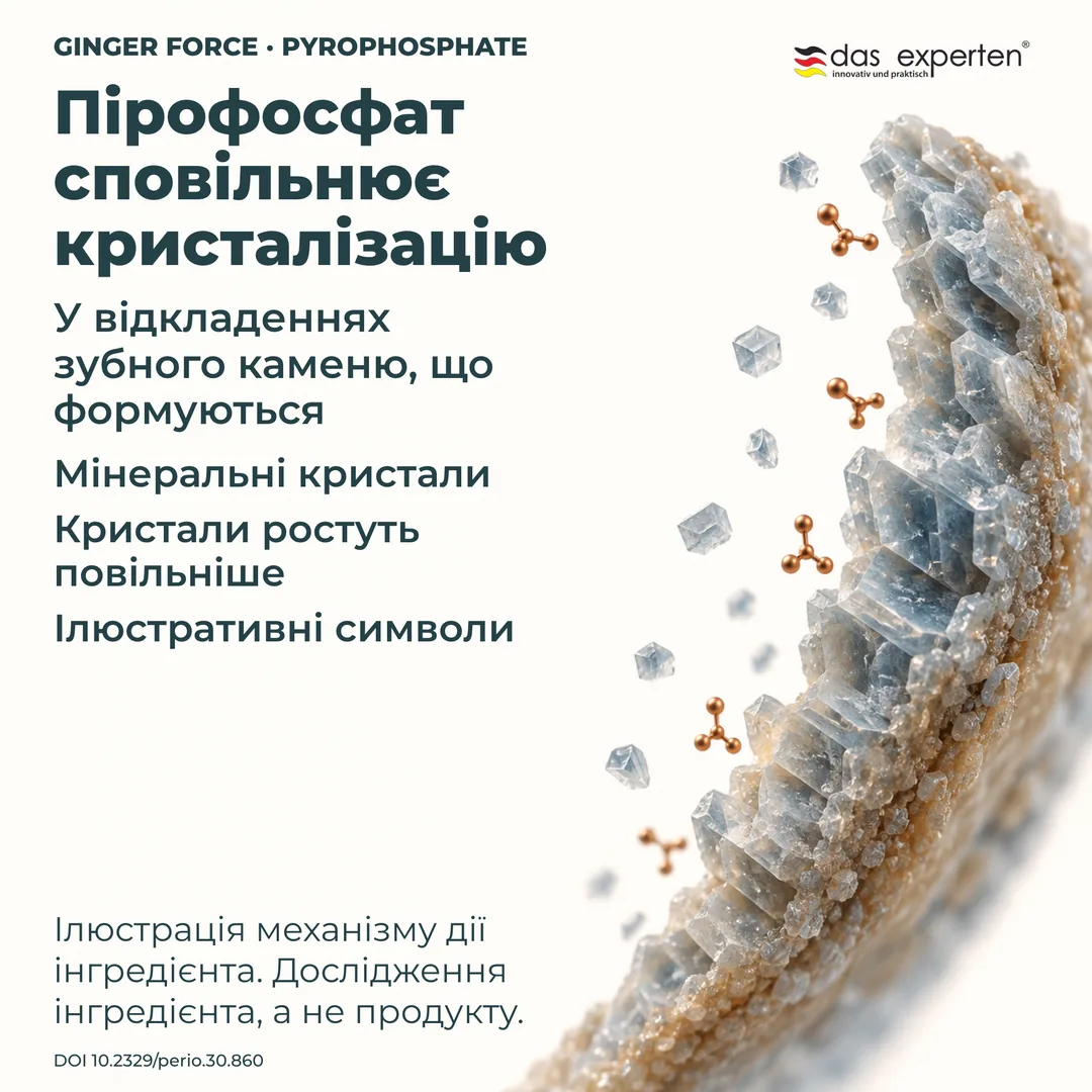 Ілюстрація мінеральних кристалів у зубному камені, що формується: пірофосфат сповільнює їхній ріст