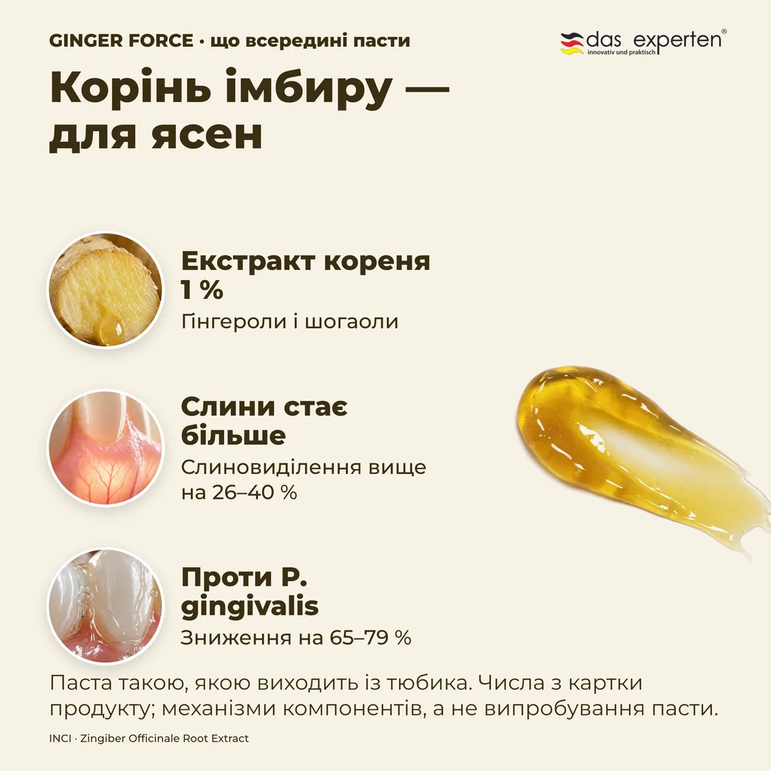 Корінь імбиру — для ясен — Екстракт кореня 1 %; Слини стає більше; Проти P. gingivalis