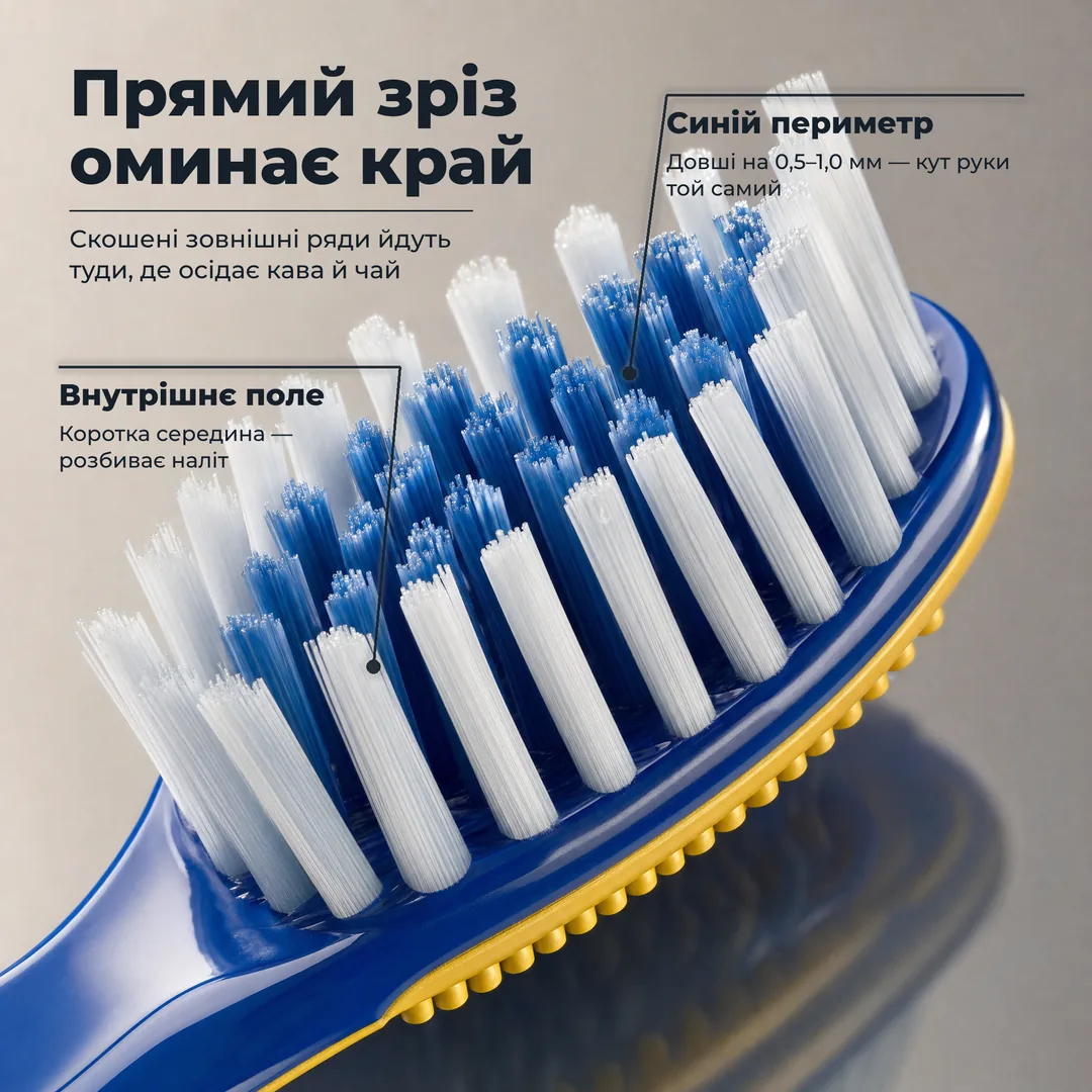 Прямий зріз оминає край — Скошені зовнішні ряди йдуть туди, де осідає кава й чай · Синій периметр: Довші на 0,5–1,0 мм — кут руки той самий · Внутрішнє поле: Коротка середина — розбиває наліт