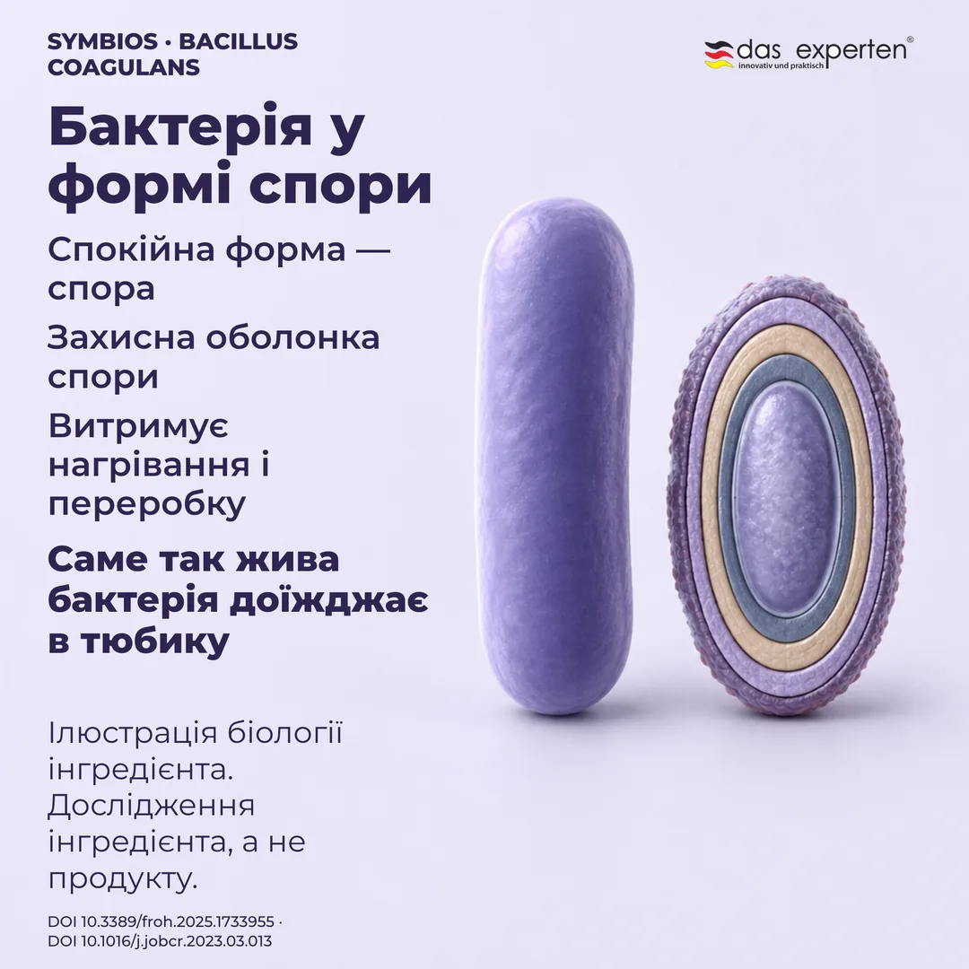 Ілюстрація спори в стані спокою із захисною оболонкою поруч із вегетативною клітиною: біологія інгредієнта