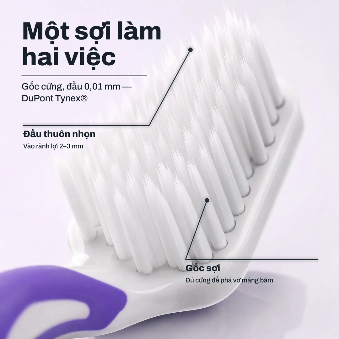 Một sợi làm hai việc — Gốc cứng, đầu 0,01 mm — DuPont Tynex® · Đầu thuôn nhọn: Vào rãnh lợi 2–3 mm · Gốc sợi: Đủ cứng để phá vỡ mảng bám