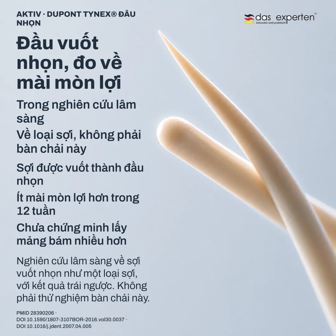 Nghiên cứu hình học sợi: một đầu sợi vuốt nhọn cạnh một đầu tròn, vẽ sơ đồ ở tỉ lệ phi thực