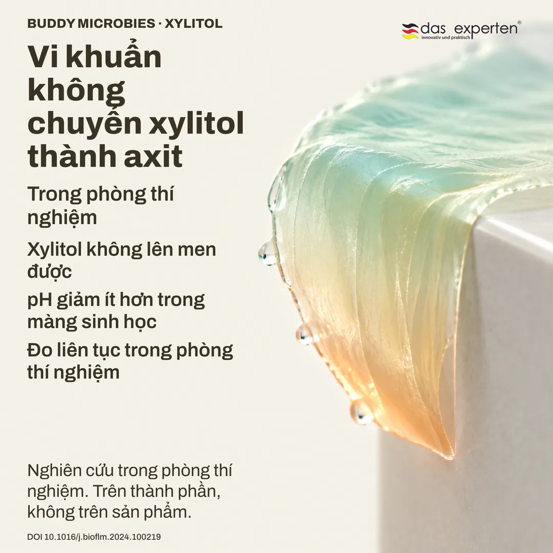Minh họa đo pH của màng sinh học trong phòng thí nghiệm: với xylitol, pH giảm ít hơn — nghiên cứu trên thành phần