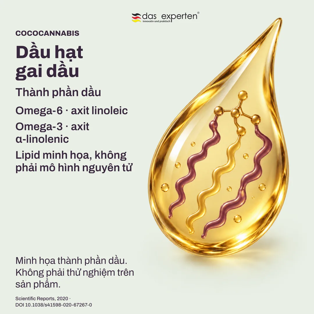 Lipid minh họa của dầu hạt gai dầu: omega-6 axit linoleic và omega-3 axit α-linolenic trong thành phần dầu