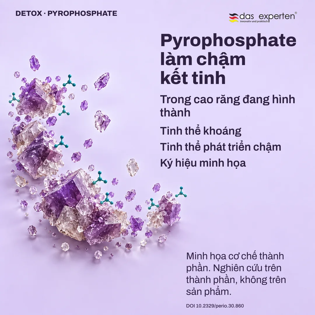 Minh họa tinh thể khoáng trong cao răng đang hình thành phát triển chậm hơn với pyrophosphate