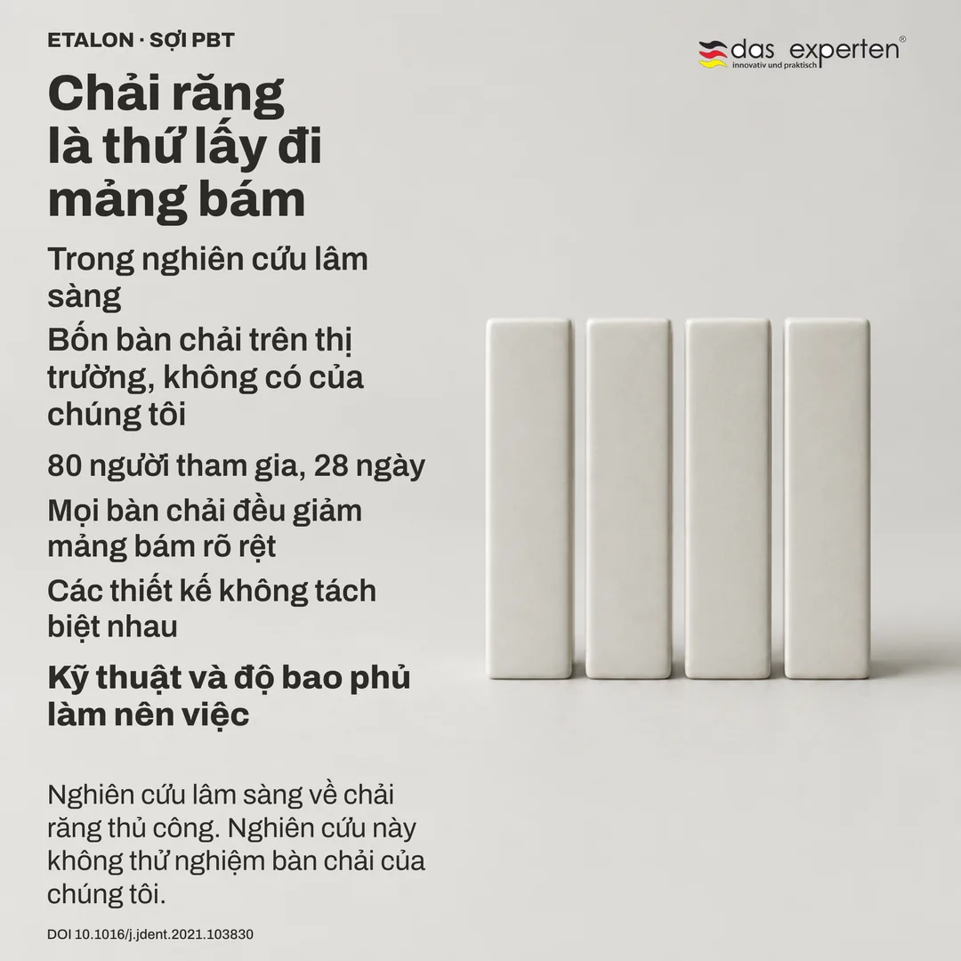 Sơ đồ nghiên cứu: bốn thiết kế bàn chải ẩn danh là bốn dấu trung tính trên cùng một thang đo, rơi sát nhau