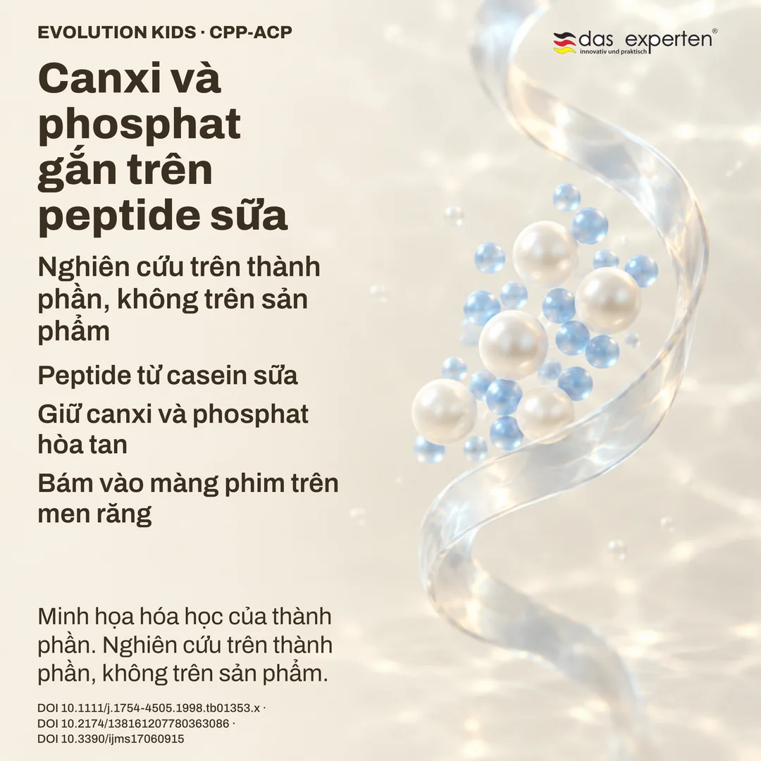Sơ đồ peptide từ casein sữa giữ canxi và phosphat ở dạng hòa tan: nghiên cứu trên thành phần