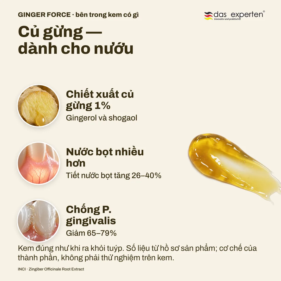 Củ gừng — dành cho nướu — Chiết xuất củ gừng 1%; Nước bọt nhiều hơn; Chống P. gingivalis
